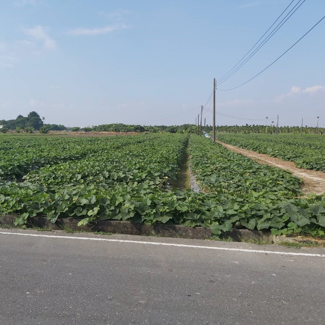 屏東潮州農地