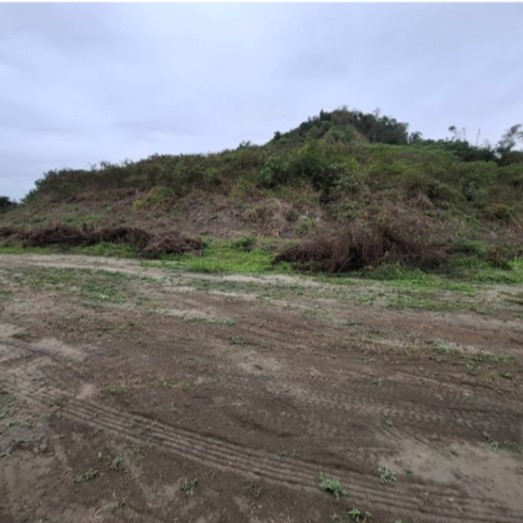 仁武高收益農地