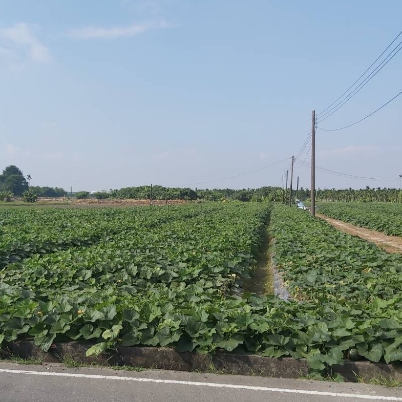 屏東縣,潮州鎮,翁健嘉,鄭雅蔓