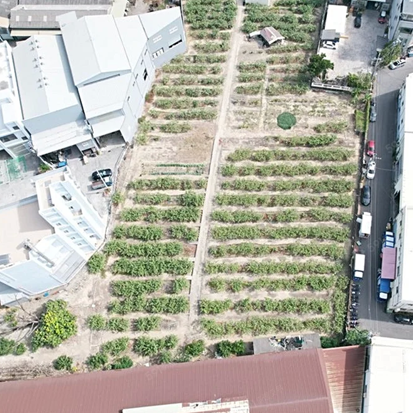 大社區稀有大面寬甲工