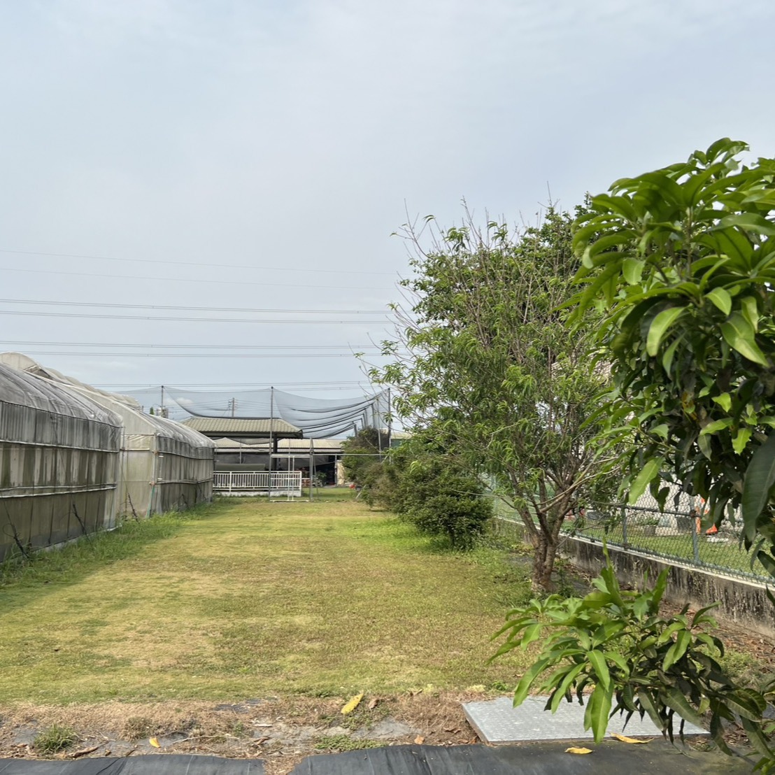 屏東縣,里港鄉,王福生